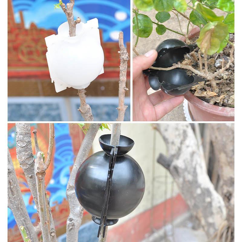 Lifesparking™ Air Layering Plant Propagator Pod