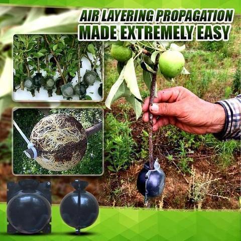 Lifesparking™ Air Layering Plant Propagator Pod