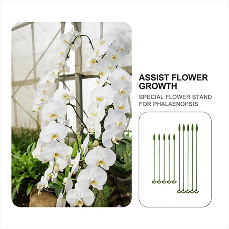 Plant Support Stake 30 pcs