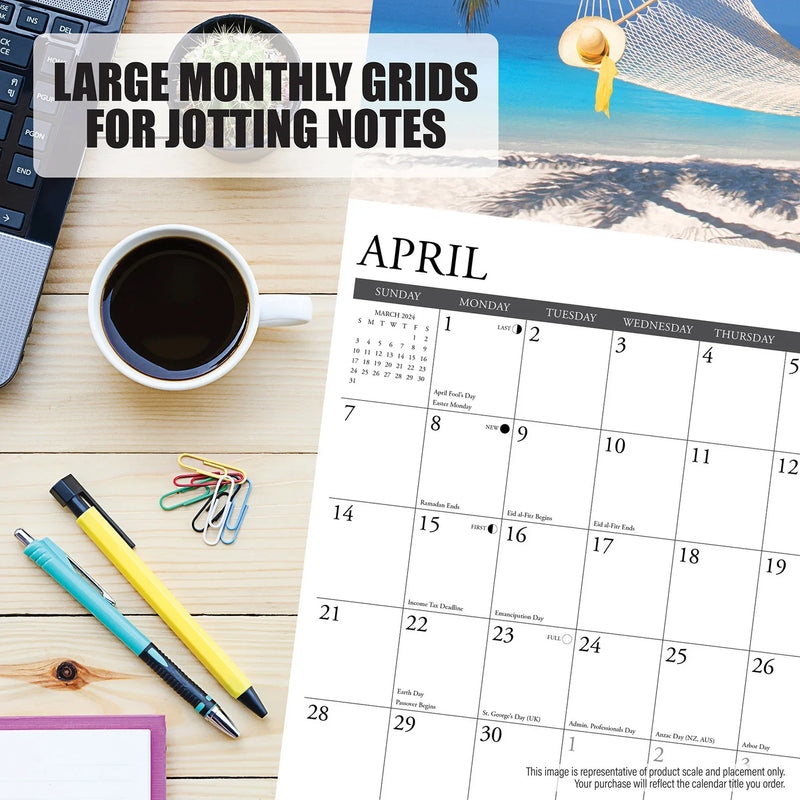 Cat-Astrophe 2024 Wall Calendar