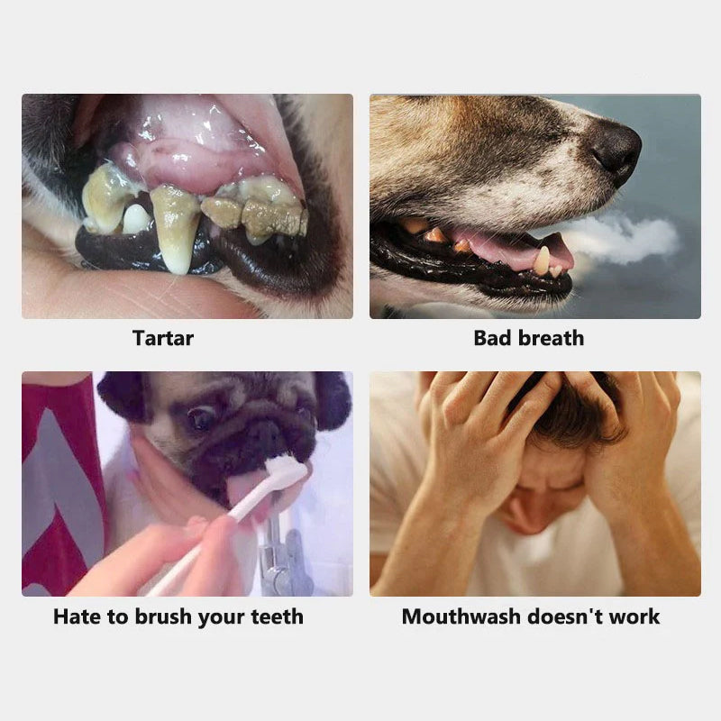 Pet Dental Cleaning Finger Wipes (50PCS)